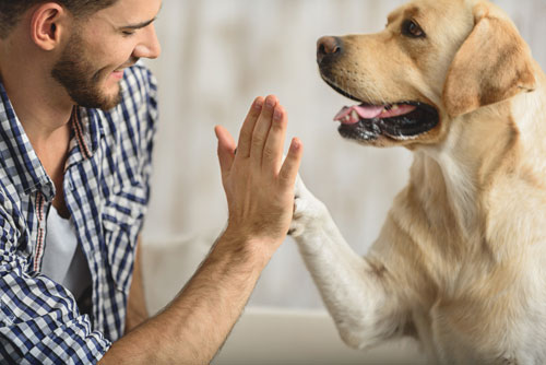 ohd-hi-five